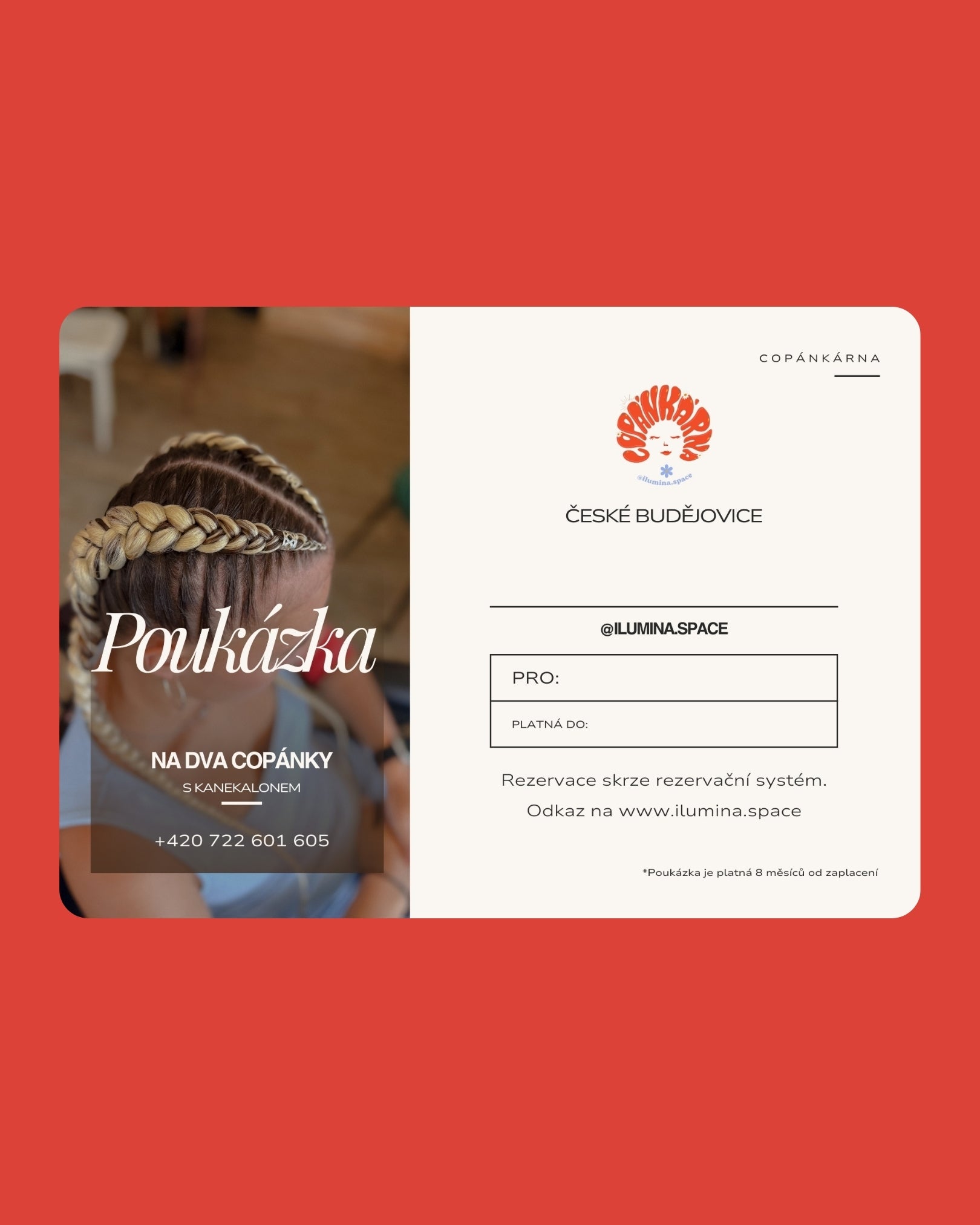 Poukázka na dva boxerské copánky s kanekalonem