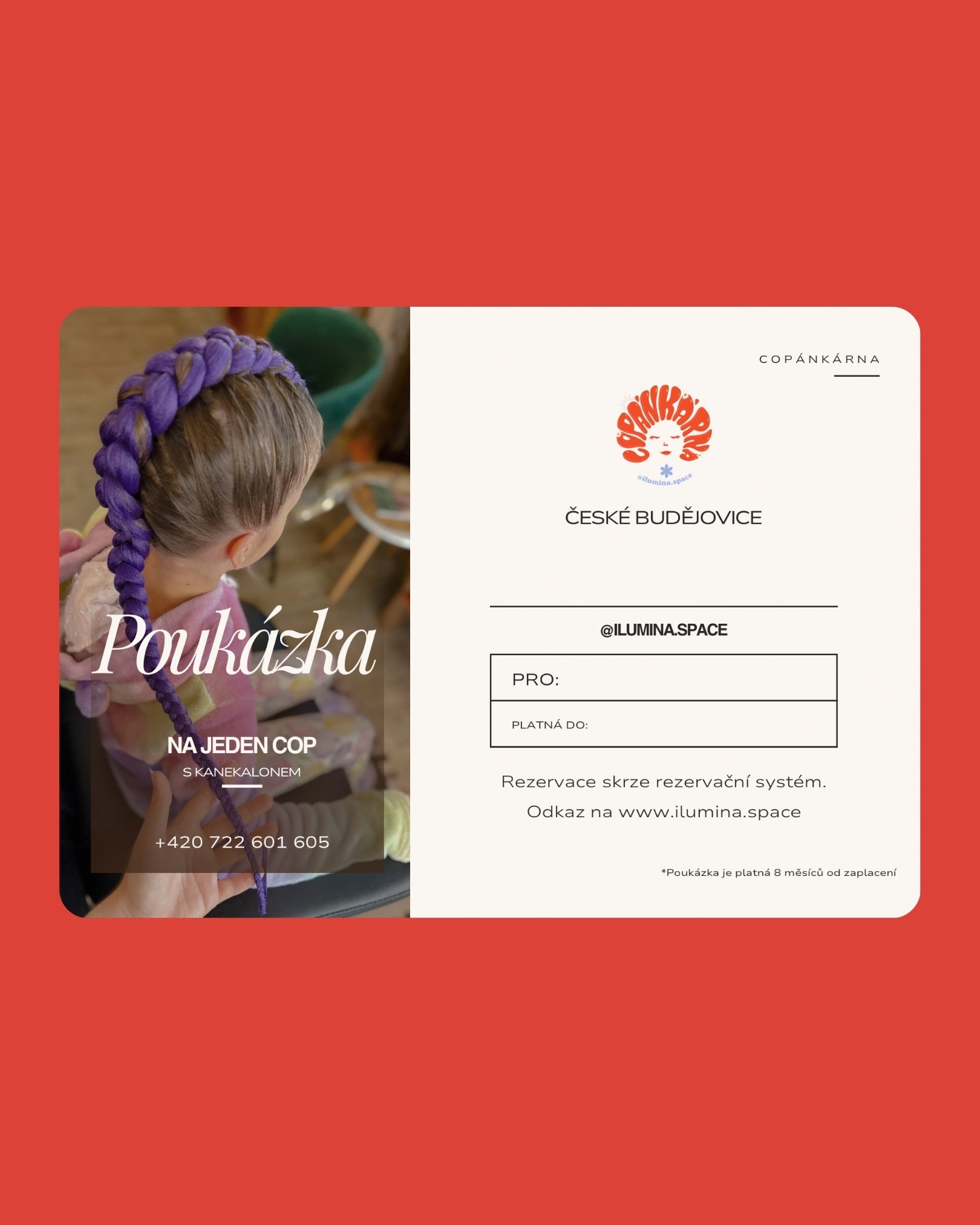 Poukázka na jeden boxerský cop s kanekalonem